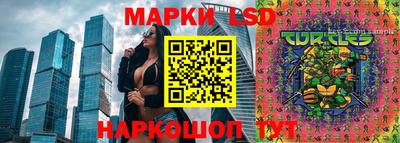 прущие грибы Кингисепп