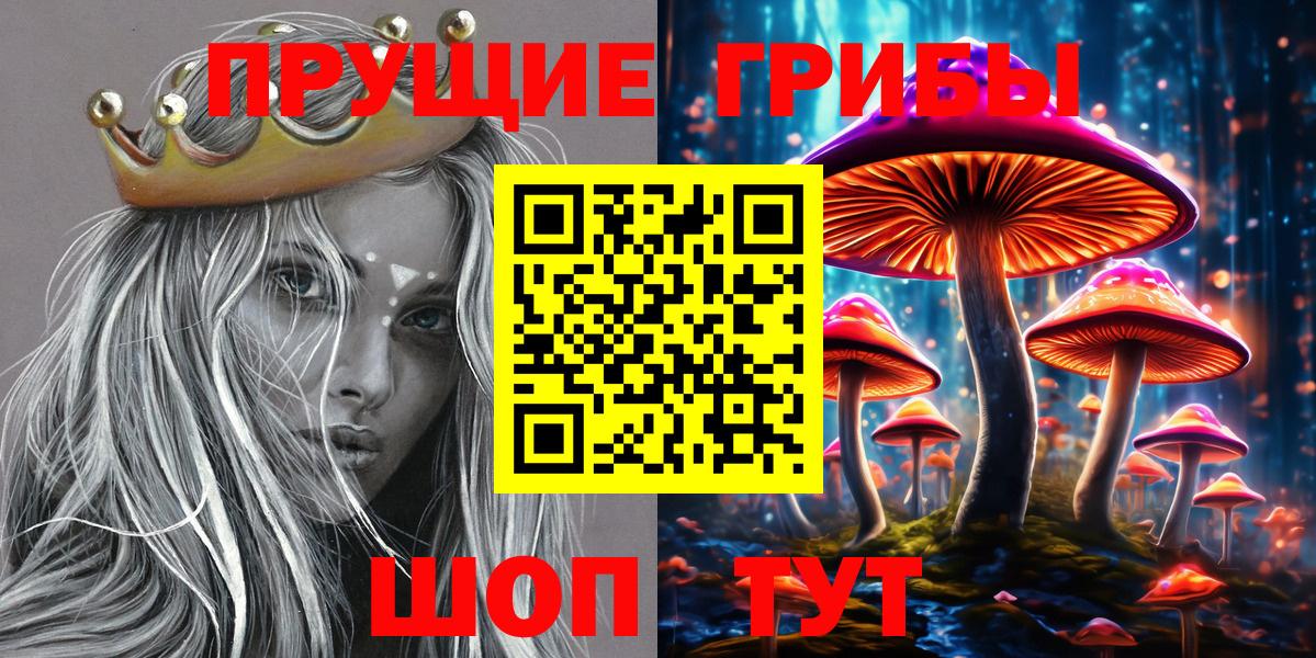 Псилоцибиновые грибы MAGIC MUSHROOMS  Псилоцибиновые грибы GOLDEN TEACHER  Конаково  даркнет сайт  Вход с VPN 
