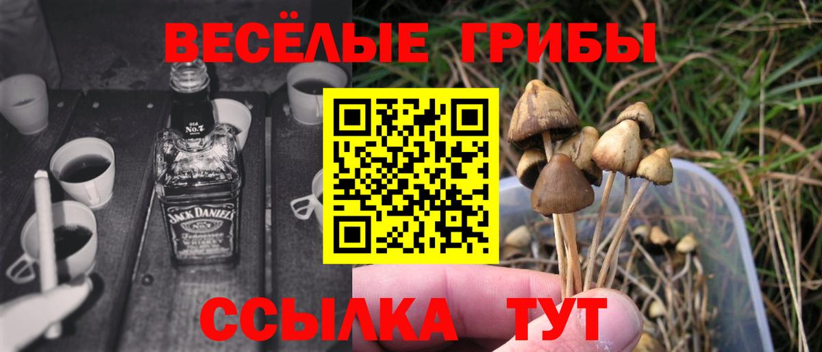 Псилоцибиновые грибы ЛСД Конаково