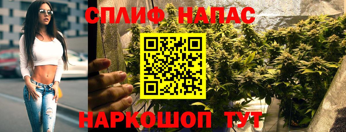 Конопля конопля  Канабис MAZAR  Конаково  Вход с VPN  Канабис индика 